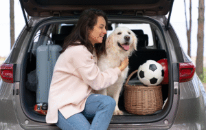 Hospedagem PetFriendly - desvende os segredos de viajar de carro com cachorros