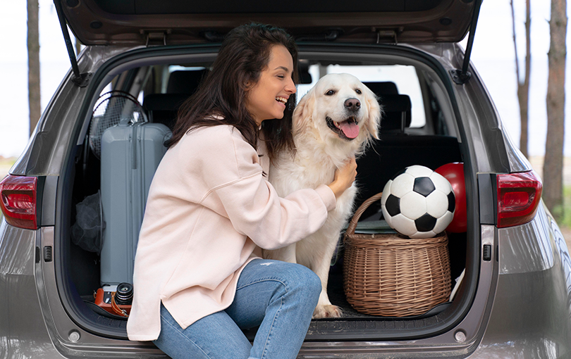 Hospedagem PetFriendly - desvende os segredos de viajar de carro com cachorros